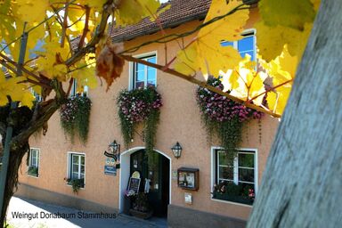 Weingut STRAWANZER Donabaum - Poolsuite SUPERIOR im WEINSPITZ