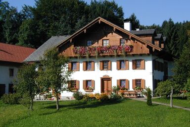 Biobauernhof Nußbaumer - Löwenzahn