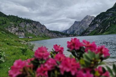 Griesbauer - Familie Gehwolf - Appartment Almrausch