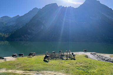 Griesbauer - Familie Gehwolf - Studio Tappenkarsee