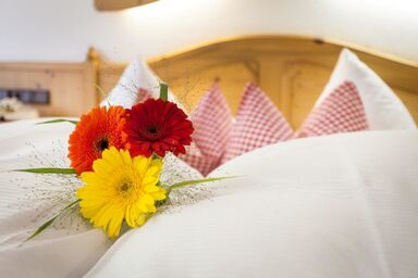 Hanslerhof - Zimmer D (Einbettzimmer)