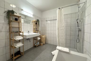 Designer Apartments im Zentrum von Fulpmes - Apartment Serles