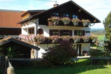 Ferienhof Hierl - Pferde