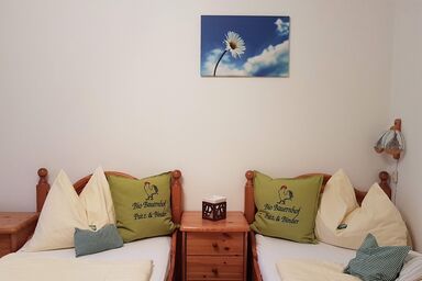 Bio-Gesundheitsbauernhof Putz & Binder - Einzelzimmer( 2-3 Nächte HP)