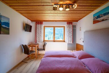 Ferienhaus Mittereggalm - Doppelzimmer renoviert mit Dusche/WC