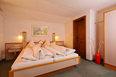 Apart Gletscherblick - Apart Typ 2 (45 m²)