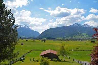 Appartement Gäberli - Apartment Sonnenegg