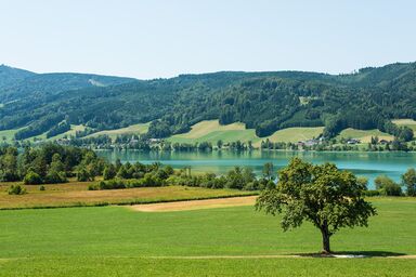 Apartment Seeblick - Krög - Ferienwohnung Seeblick