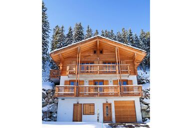 Chalet Collons 1850