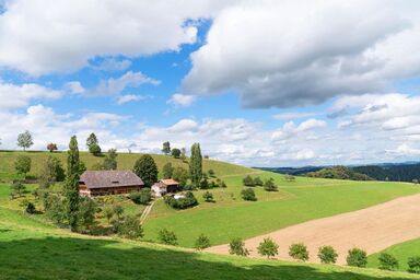 Ferienwohnung ruhig im grünen und mit Bergblick