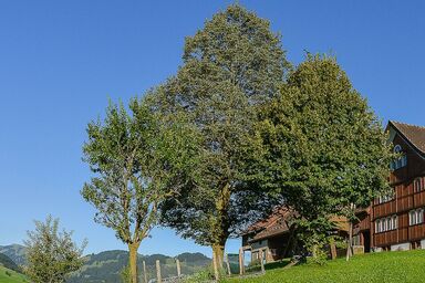 Ferien auf dem Bauernhof mit bestem Alpsteinblick