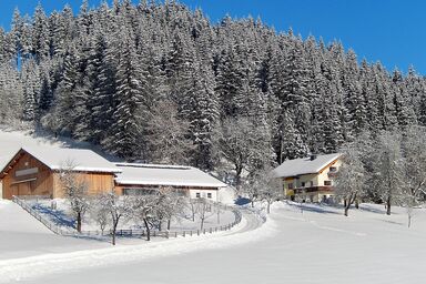 Biobauernhof Poidlbauer - Apartment "Poidlbauernkogl" mit Terrasse