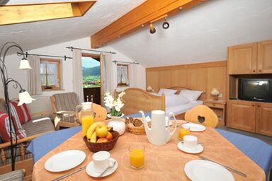 Haus Heistracher - 03 Zwei-Raum-Appartement 55qm mit vollausgestatteter Küche und Bergblick