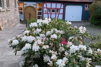 Pension im Vorhof - Doppelzimmer 'Romantik' - lichtdurchflutet