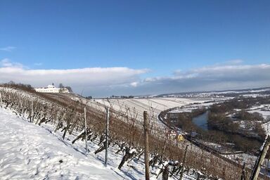 Ferienwohnung "Haus Gänseplatz" - Appartement Eva