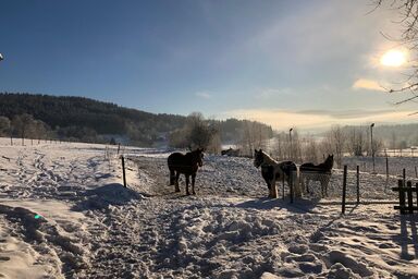 Biohof Weiderer - Chalet Zur Landfrau