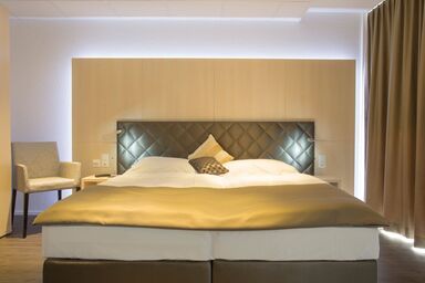 Hine Adon Hotel Bern Airport - Double room