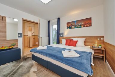 Sunny Hotel Straubing - Double room