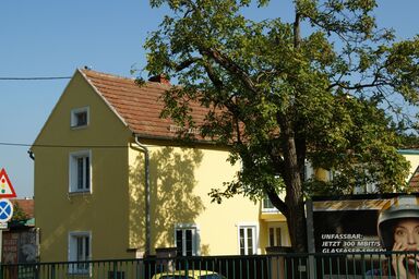 in der Nähe von Wien - in der Nähe von Wien .1