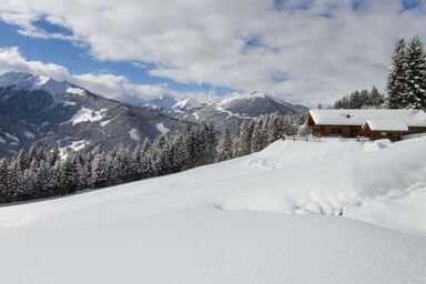 Remberghütte in Viehhofen - Remberghütte in Viehhofen .1