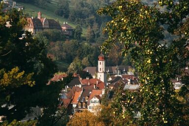 Apartement Feldkirch - Apartement Feldkirch .1