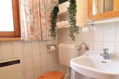 Schwalbennest - Schwalbennest .1