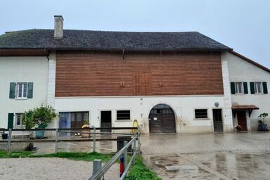 in Bauernhof - in Bauernhof .1