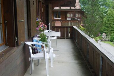 Arnika # 2 - Arnika # 2 .1