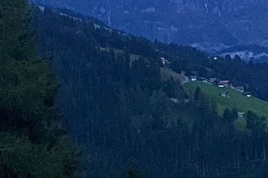 Waldweid - Waldweid .1