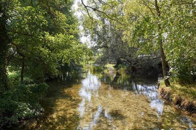 Bauernhof Elmiger - Bauernhof Elmiger .1