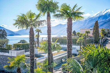Double Room Modern - Junior Suite Classic - Isole di Brissago .21