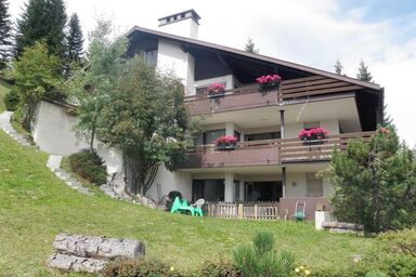 Barlangia Hoijer - Barlangia Hoijer .1