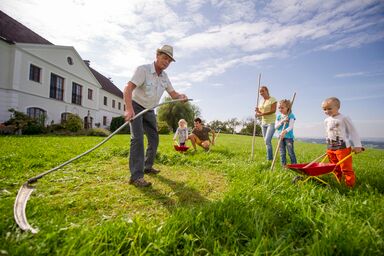 Landhaus  Aigner - Apartment- Herzwies