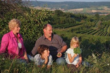 Weingut Stopfer - Kleines Zimmer im Gästehaus