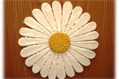 Biohof Bernhard - Margerite