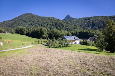 Grafbauer - Studio 3 - Schafberg