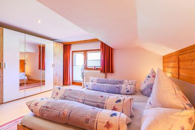 Bauernhaus Auer - Appartement