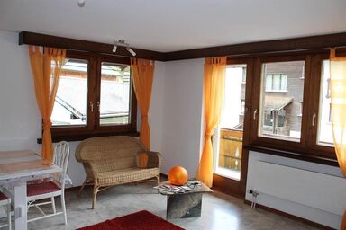 Silberdistel - Studio Nr. 6101