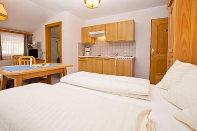 Berghotel Lämmerhof - Appartement Typ 4, Dusche, WC, Balkon