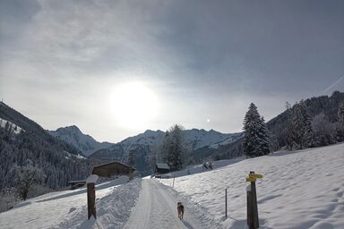 Ferienwohnung Innergreit