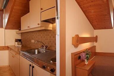 HAUSER Anton - Typ D