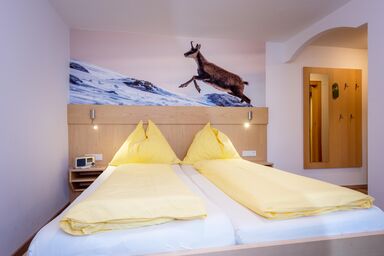 Energiepension Schwaiger - Doppelzimmer Birnhorn