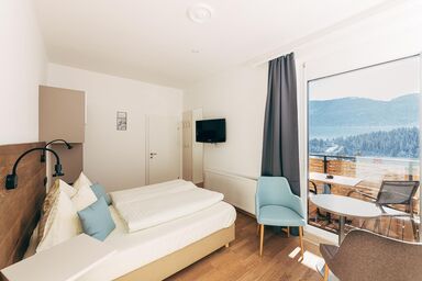 Pension Villa Blumegg - Studio, Dusche, WC, Wohn-/Schlafraum, Balkon