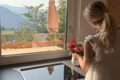 Das Haus Steger zu Stein