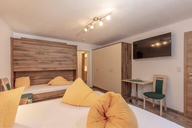 Apart Felsenhof - Appartements Schrankogel