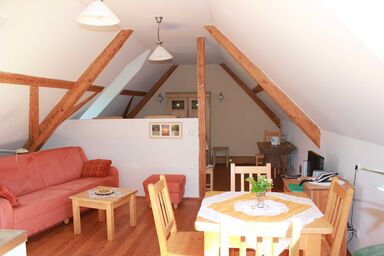 Buchgrabenhof - Laubwald